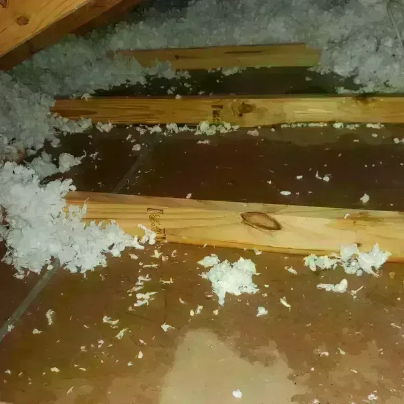 Attic Water Damage in Butts County, GA