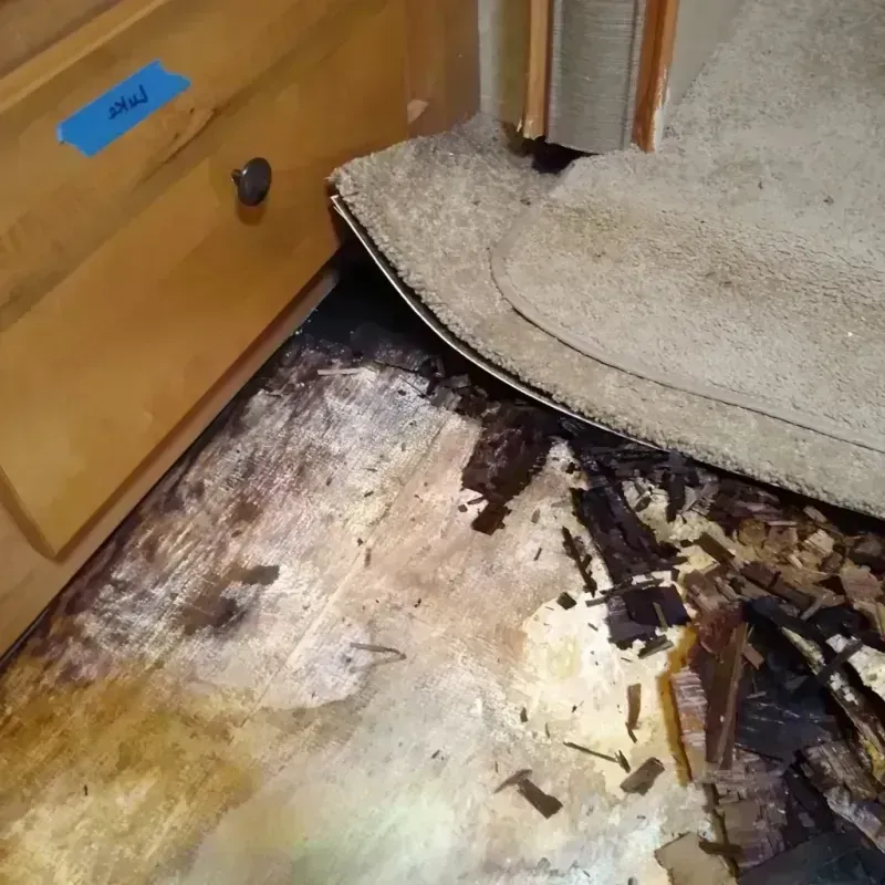 Best Wood Floor Water Damage Service in Butts County, GA